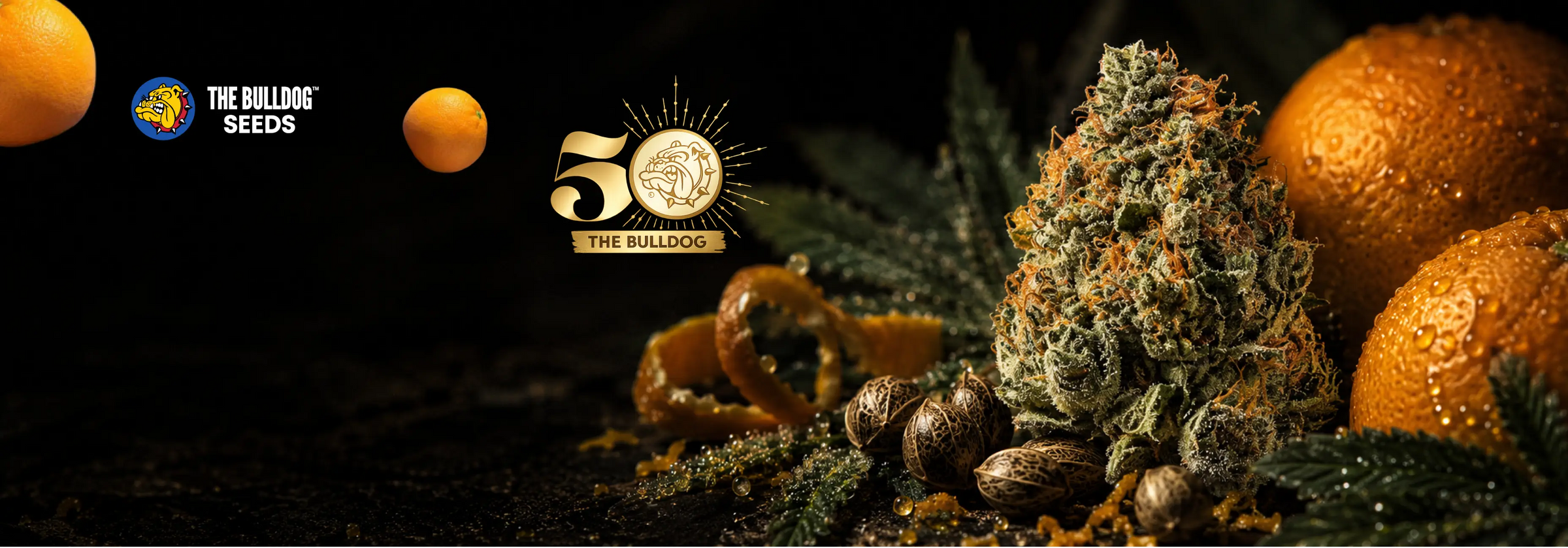 50 Year Anniversary
