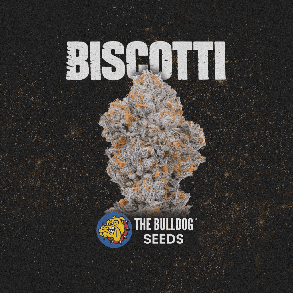 Biscotti - The Seed Shop