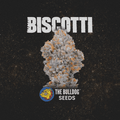 Biscotti - The Seed Shop