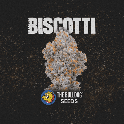 Biscotti - The Seed Shop