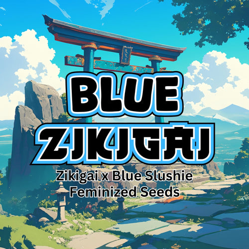 Blue Zikigai - The Seed Shop