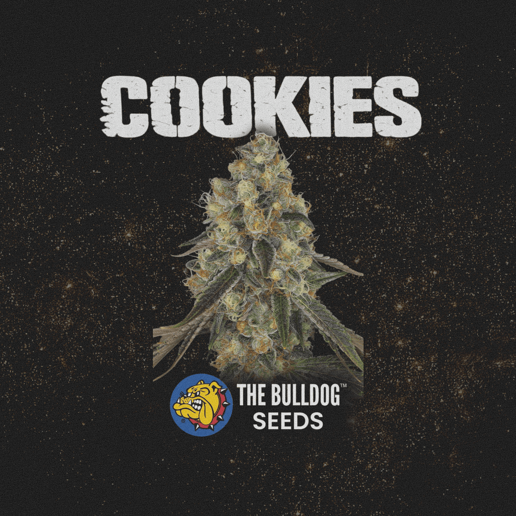 Cookies - The Seed Shop
