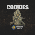 Cookies - The Seed Shop