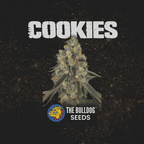 Cookies - The Seed Shop