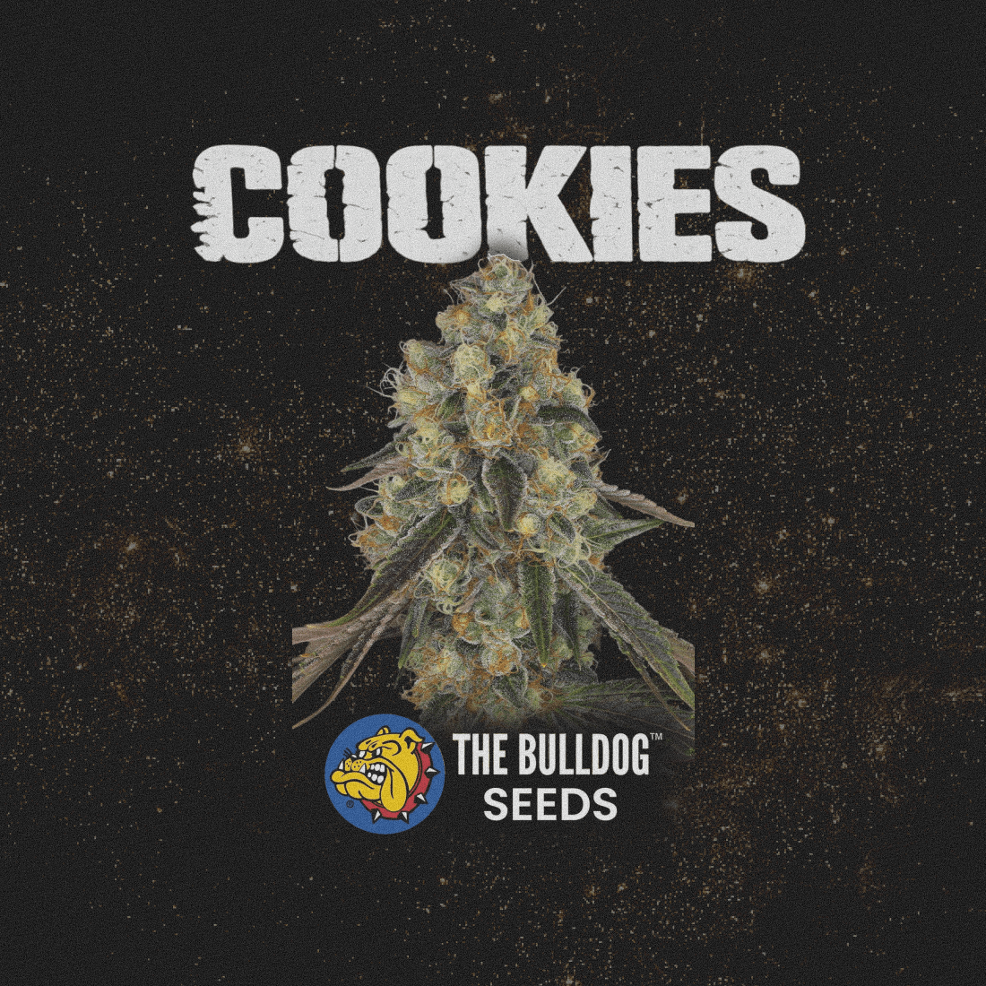 Cookies - The Seed Shop