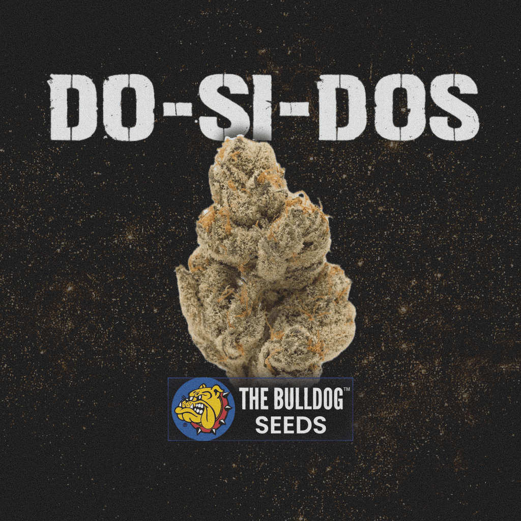 Do-Si-Dos - The Seed Shop