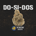Do-Si-Dos - The Seed Shop