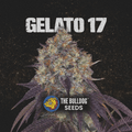 Gelato 17 - The Seed Shop