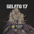 Gelato 17 - The Seed Shop