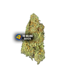Gorilla Auto - The Seed Shop