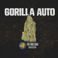 Gorilla Auto - The Seed Shop