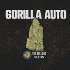 Gorilla Auto - The Seed Shop