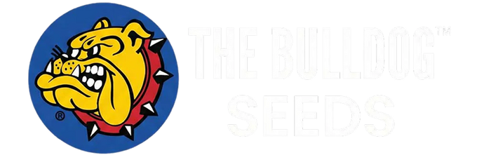 Bulldog Seeds