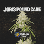 Joris Pound Cake - The Seed Shop