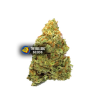 Lemon Haze Auto - The Seed Shop
