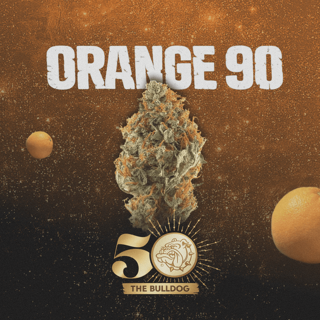 Orange 90 (50th anniversary) - The Seed Shop