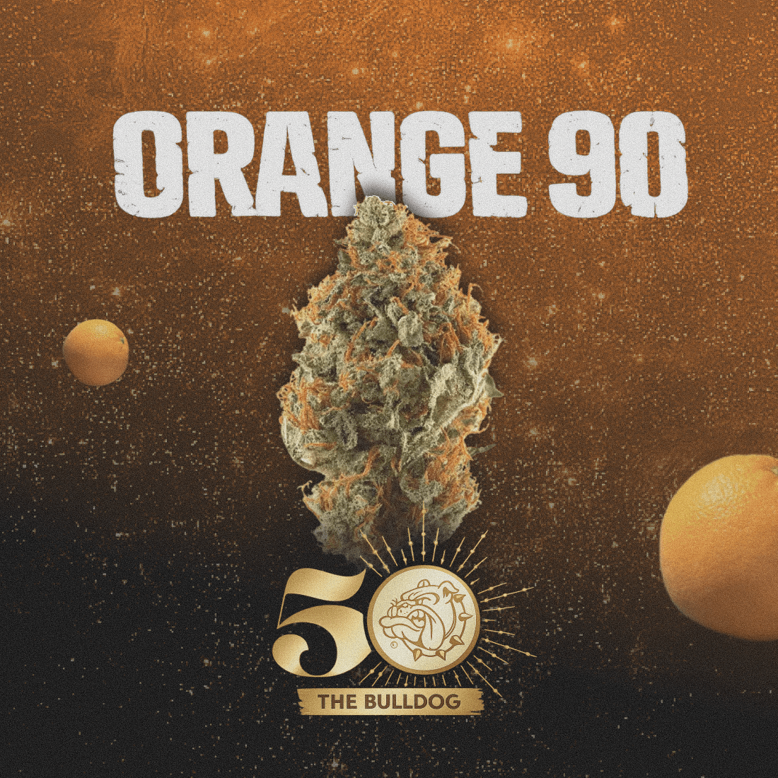 Orange 90 (50th anniversary) - The Seed Shop