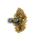 Orange 90 (50th anniversary) - The Seed Shop
