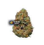 Papaya - The Seed Shop