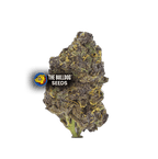 Purple CBD Auto - The Seed Shop