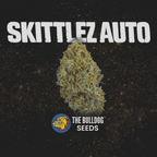 Skittlez Auto - The Seed Shop