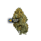Skittlez Auto - The Seed Shop