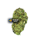 Sour Diesel - The Seed Shop
