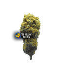 Strawberry Haze Auto - The Seed Shop