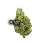 Wedding Cake - The Seed Shop