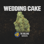 Wedding Cake - The Seed Shop