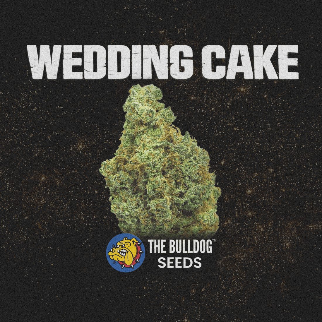 Wedding Cake - The Seed Shop