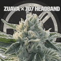 ZUAVA X 707 HEADBAND - The Seed Shop