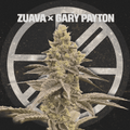 ZUAVA X GARY PAYTON - The Seed Shop