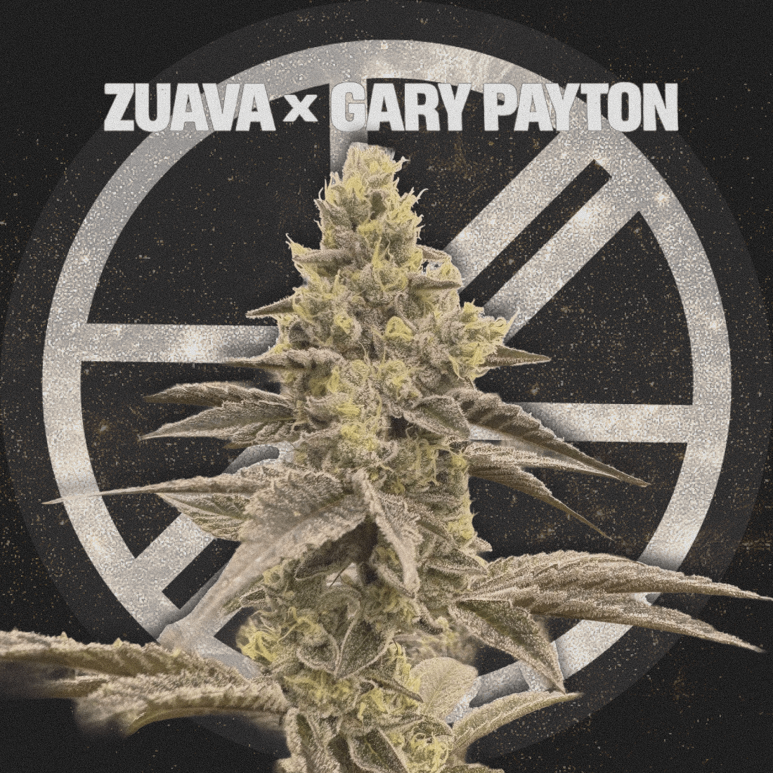 ZUAVA X GARY PAYTON - The Seed Shop