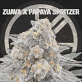 ZUAVA X PAPAYA SPRITZER - The Seed Shop