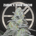 ZUAVA X YAMI MACHI - The Seed Shop