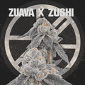 ZUAVA X ZUSHI - The Seed Shop