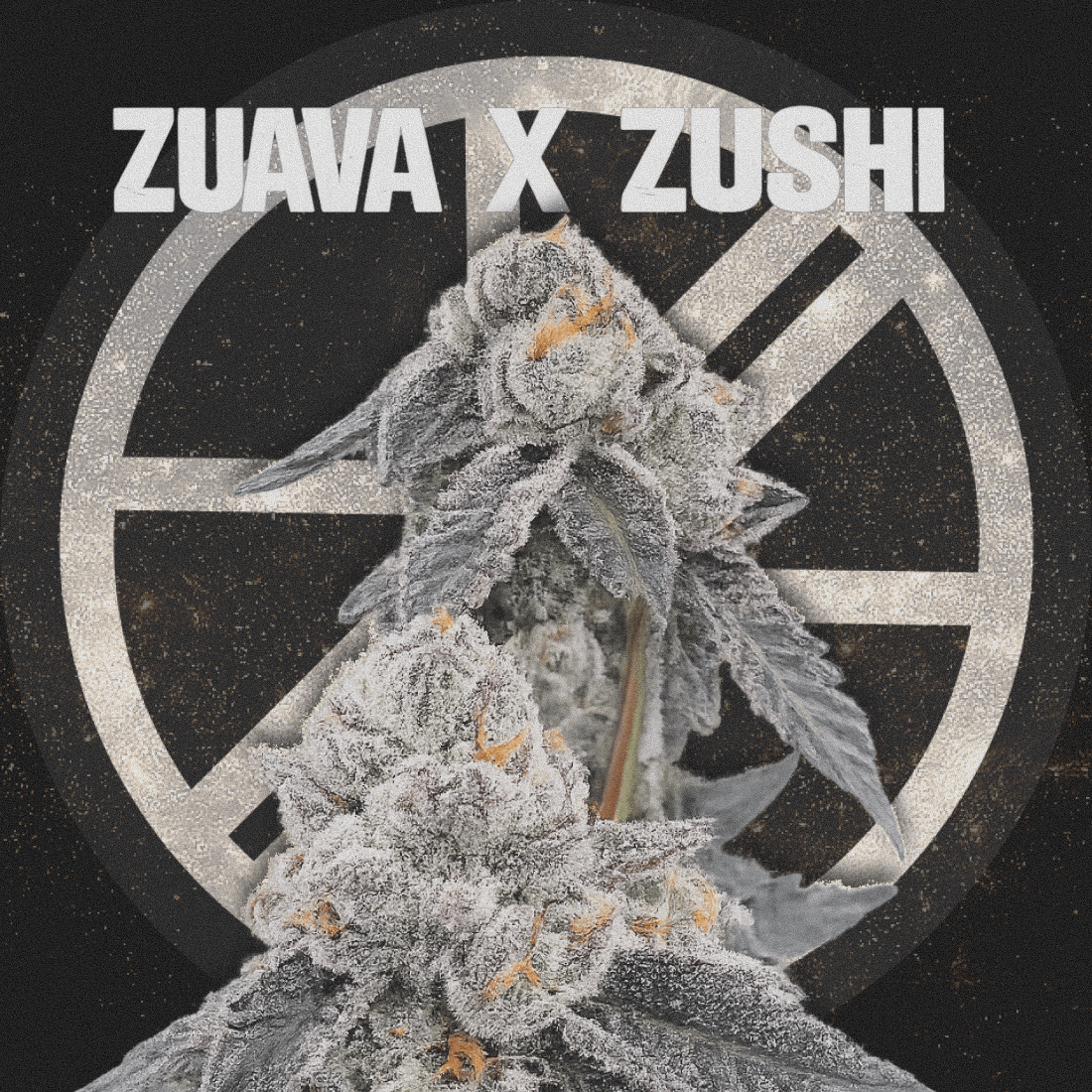 ZUAVA X ZUSHI - The Seed Shop