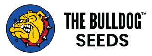 The Bulldog Seeds Logo